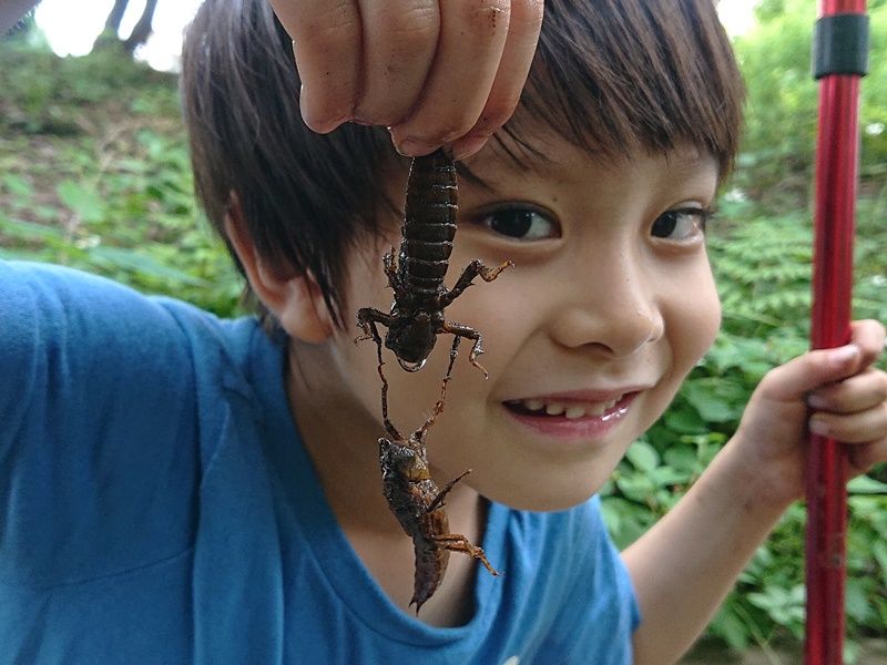 オニヤンマヤゴ