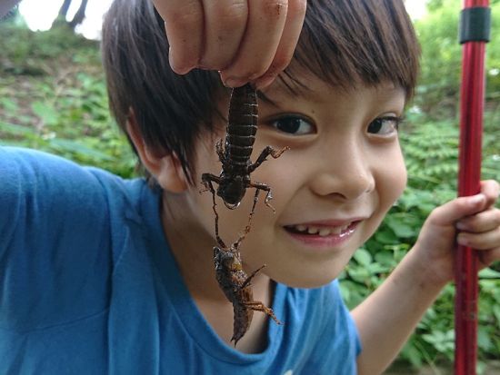 森、水辺の生き物を探すツアー！ カブトムシクワガタの幼虫やオニヤンマのヤゴを探しにでかけよう＜午前／午後／調布市＞