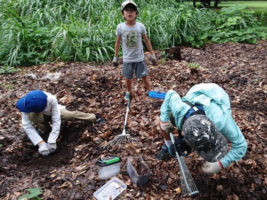 森、水辺の生き物を探すツアー！ カブトムシクワガタの幼虫やオニヤンマのヤゴを探しにでかけよう＜午前／午後／調布市＞