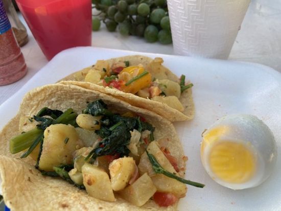 古代メキシコの伝統儀式体験☆ドーム型サウナ「テマスカル」で身も心もリラックス＜軽食付＞