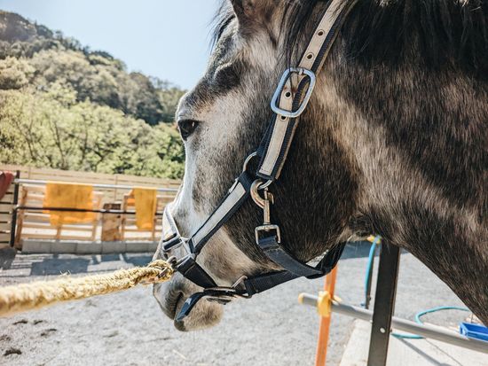 5a965591-1d71-41de-bb1b-4aee66f7