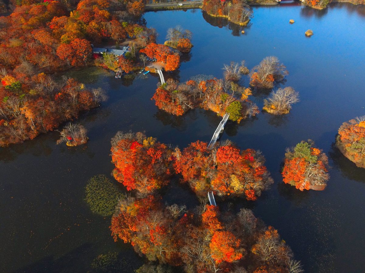 20231004031143_1911581656_1115