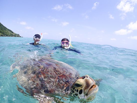 【宮古島・ウミガメシュノーケル】《★特別価格》高確率でウミガメに遭遇・写真無料プレゼント《カップル・お子様・ご家族大歓迎》