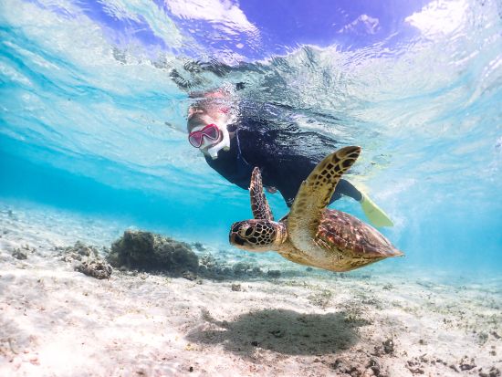 【宮古島・ウミガメシュノーケル】《★特別価格》高確率でウミガメに遭遇・写真無料プレゼント《カップル・お子様・ご家族大歓迎》