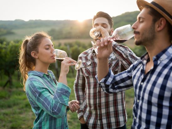 Generic_Winery_shutterstock_579707302 (1)