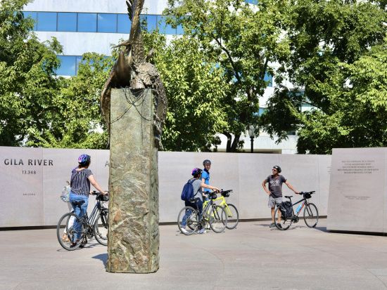 ワシントンD.C.　サイクリングツアー　キャピトル・ヒルや観光名所めぐり＆スポットでの撮影タイムあり＜2時間／英語ガイド＞by Unlimited Biking