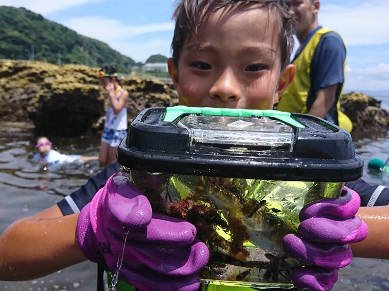 磯のガサガサ体験ツアー 三浦の穴場スポットで干潮の前後3時間で