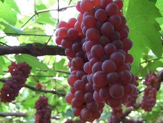 delaware_490x320_002