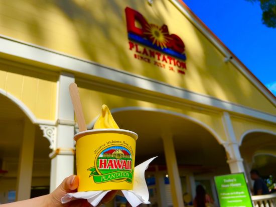 ノースショア（ハレイワ）観光　体験型レッスンで英会話を学びながらオアフ島の有名観光スポットをぐるっと周遊！＜1日／日本語ガイド＞