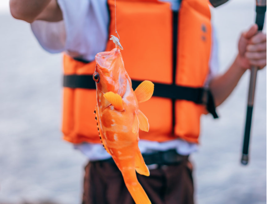 磯釣り体験 地元インストラクターがご案内 アラカブやアカハタなどを狙う ＜約1.5時間／宇久島＞ by 宇久町観光協会