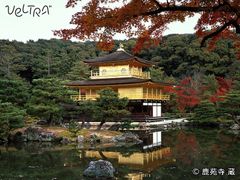 Japan_Kyoto_Kinkakuji-Temple_20141002023841_61885191_3077_0