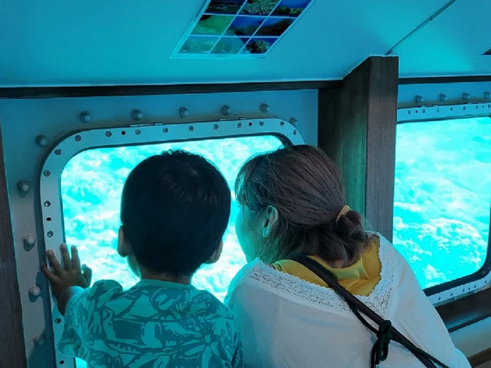 水中観光船「マリンビューワーせと」 半潜水船でサンゴ礁や熱帯魚を
