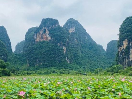 広州発－筏で遊ぶ、パノラマ桂林・陽朔1泊2日＜日本語ガイド / 食事付き / 1名催行＞