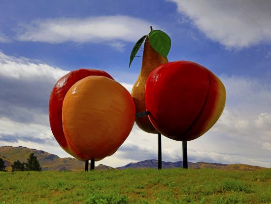 【4～5月限定】セントラルオタゴ日帰りツアー！ベテランガイドと巡る黄金色に輝く秋の黄葉＆味覚探しの旅＜日本語ドライバーガイド／クイーンズタウン市内発着＞