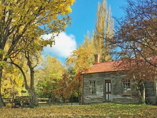 【4～5月限定】セントラルオタゴ日帰りツアー！ベテランガイドと巡る黄金色に輝く秋の黄葉＆味覚探しの旅＜日本語ドライバーガイド／クイーンズタウン市内発着＞