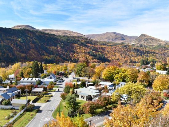 【4～5月限定】セントラルオタゴ日帰りツアー！ベテランガイドと巡る黄金色に輝く秋の黄葉＆味覚探しの旅＜日本語ドライバーガイド／クイーンズタウン市内発着＞