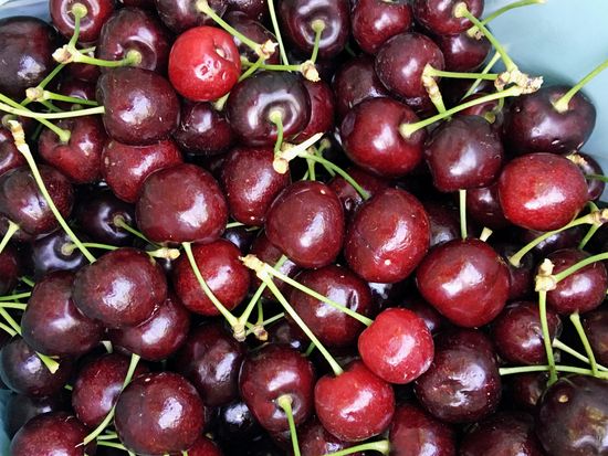 夏・みずみずしい採れたてアメリカンチェリー