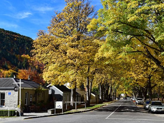 秋のアロータウン目抜き通り