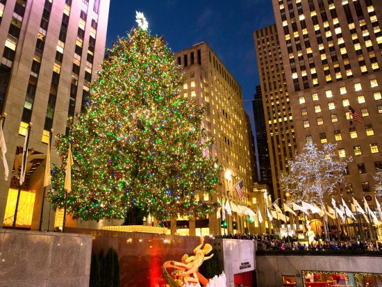 ニューヨーク　クリスマス映画のロケ地巡り＆ホリデーシーズンのライトアップ鑑賞ツアー ＜11～1月／英語ガイド＞