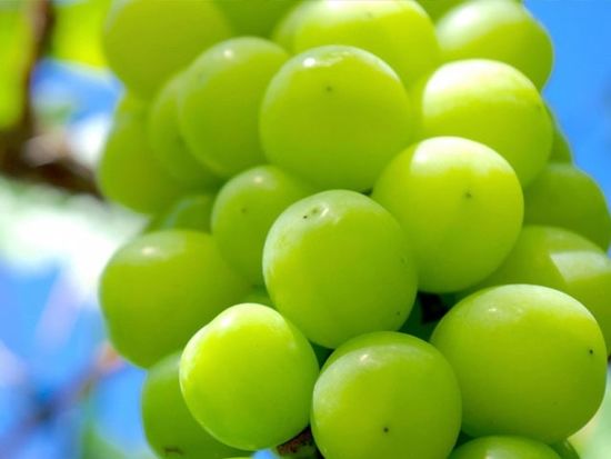 img_735x480_003 (10)