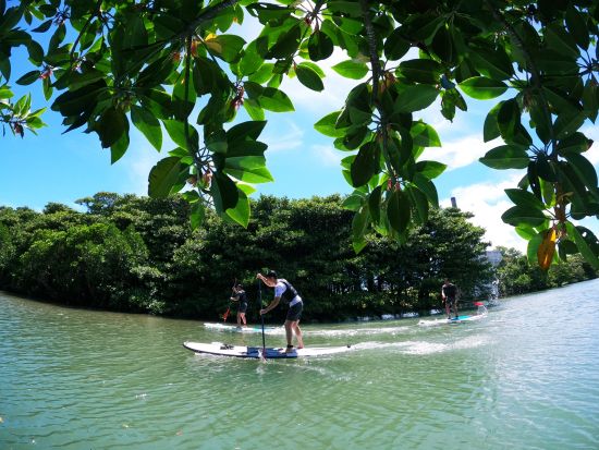 貸切マングローブSUP マイナスイオンたっぷりのマングローブ林へ！穏やかな環境で初心者の方にもオススメ SUPで冒険に出かけよう＜約3時間／送迎あり／石垣島＞