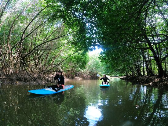 貸切マングローブSUP マイナスイオンたっぷりのマングローブ林へ！穏やかな環境で初心者の方にもオススメ SUPで冒険に出かけよう＜約3時間／送迎あり／石垣島＞