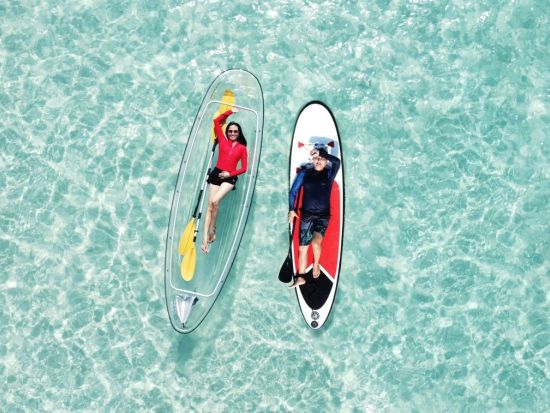 ラン島ツアー　透明度が高い海が人気の島でマリンアクティビティーやガチョウの餌やり体験を楽しむ ＜英語ガイド／ドローン撮影写真付＞