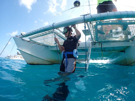 ウミガメシュノーケリング・クルーズ　ワイキキ沖　最大4名様までの少人数制！＜水中写真付き／日本語インストラクター／ケワロ湾発＞