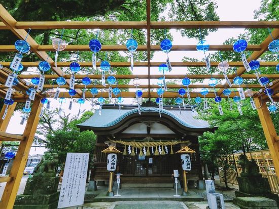 pixta_87659202_夏の現人神社