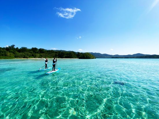 美ら海SUP 完全貸切で石垣の海をSUPでクルージング！ 透明度抜群の海でたくさんの生き物に出会おう！＜約3時間／送迎あり／石垣島＞