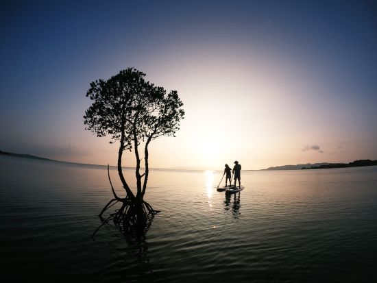 サンセットSUP 1組限定！夕日を眺めながらのんびりクルージング 素敵な旅の1日の締めくくりを＜約3時間／送迎あり／石垣島＞