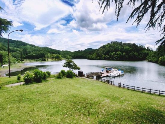 電動バギーで行く別府観光　志高湖 高原のさわやかさを楽しむ「ゆのくにクルーザー」に乗って別府DEEP旅 普通免許で運転OK＜別府市＞by クリオシティおおいた