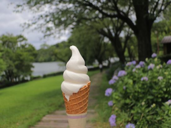 電動バギーで行く別府観光　志高湖 高原のさわやかさを楽しむ「ゆのくにクルーザー」に乗って別府DEEP旅 普通免許で運転OK＜別府市＞by クリオシティおおいた