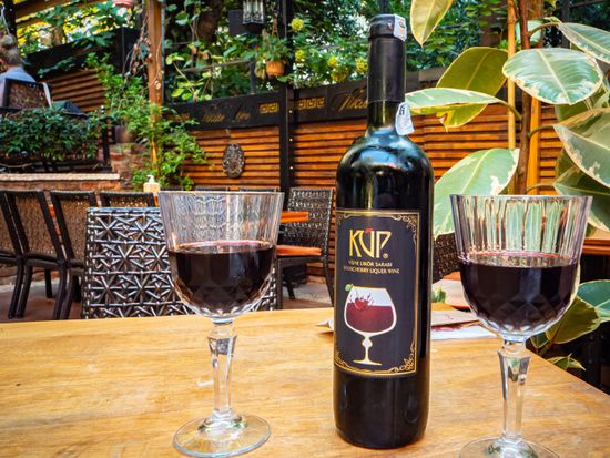 20230524090153_136773943_16169_0