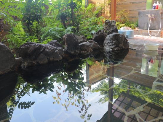 電動バギーで行く別府観光　奥別府かいがけ温泉 きのこの里 「ゆのくにクルーザー」に乗って別府DEEP旅　普通免許で運転OK＜別府市＞by クリオシティおおいた