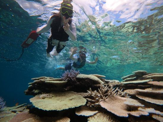 SUP+シュノーケリングツアー  地元出身ガイドならではのおすすめのポイントで絶景や生き物との水遊びを楽しもう＜3時間半／5歳～60歳／宮古島＞