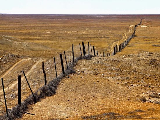 The Dog Fence outback SA (Greg Snell)