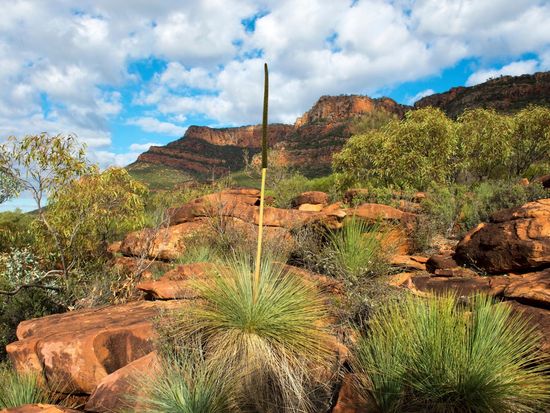 Arkaroo Rock Flinders Ranges NP