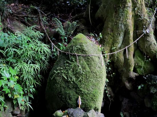 電動バギーで行く別府観光　内成地区 水分石＋月見石＋棚田「ゆのくにクルーザー」に乗って別府DEEP旅 普通免許で運転OK＜別府市＞by クリオシティおおいた