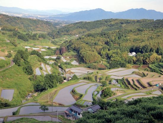電動バギーで行く別府観光　内成地区 水分石＋月見石＋棚田「ゆのくにクルーザー」に乗って別府DEEP旅 普通免許で運転OK＜別府市＞by クリオシティおおいた