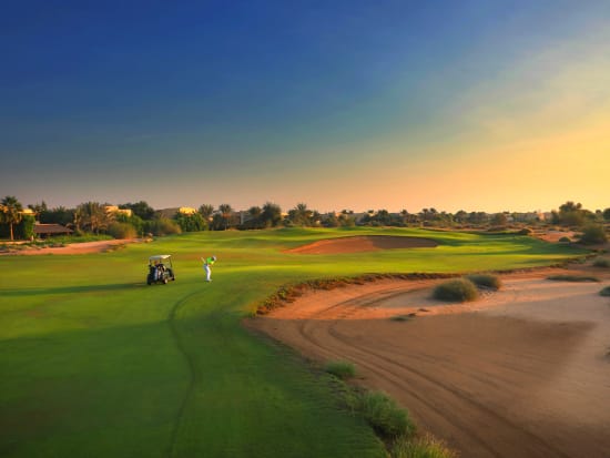 Arabian Ranches Golf Club (4)