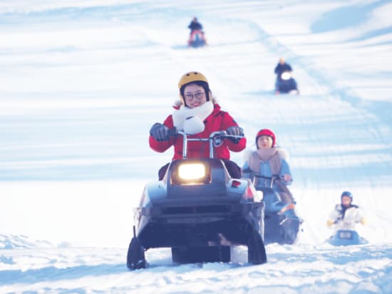 雪遊びお気軽体験3kmコース スノーモービル or 四輪バギーor スノーカート  3種から選べる初心者向け体験♪＜12～3月／富良野市＞