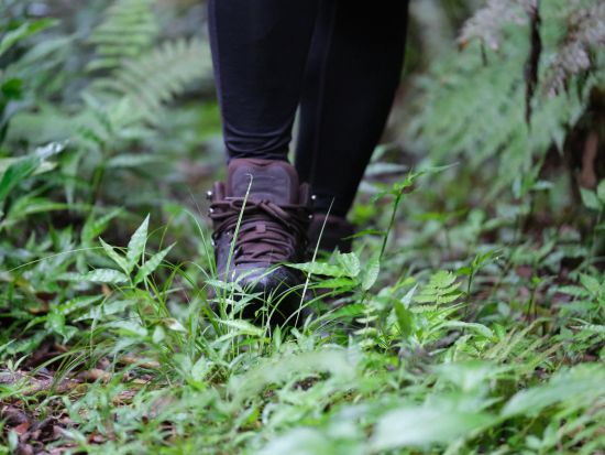 世界遺産「座喜味城跡」で森さんぽ ガイドと一緒に城壁からの眺めや豊かな自然を楽しもう＜1時間／送迎あり／読谷村＞