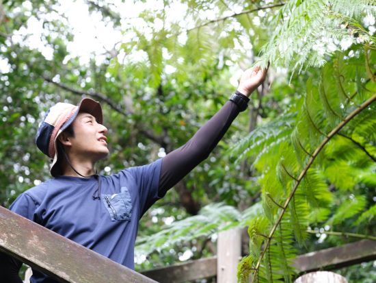 世界遺産「座喜味城跡」で森さんぽ ガイドと一緒に城壁からの眺めや豊かな自然を楽しもう＜1時間／送迎あり／読谷村＞