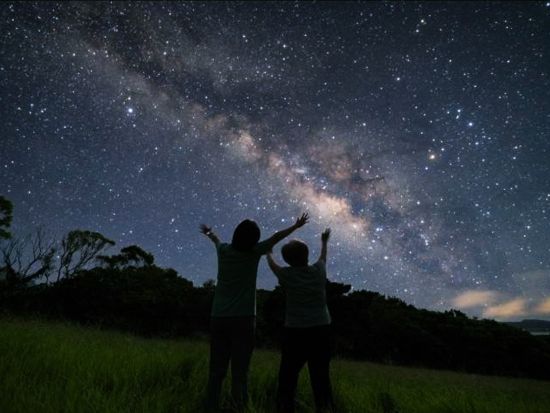 星空☆ナイトサファリ☆ 天然のプラネタリウム石垣島で南国特有の動植物を探そう〈約2時間／市街地送迎／石垣島＞