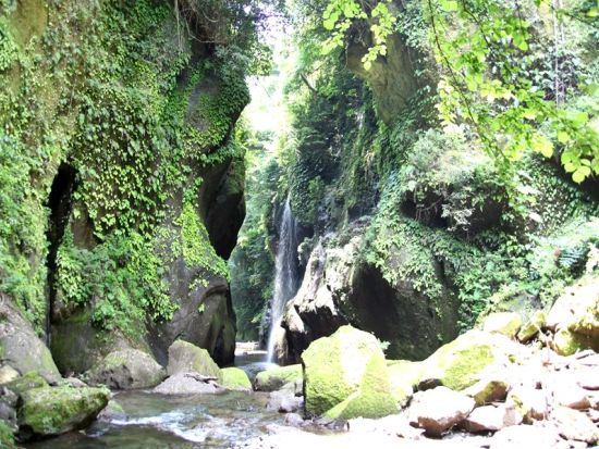 電動バギーで行く別府観光　由布川渓谷散策 「ゆのくにクルーザー」に乗って別府DEEP旅　普通免許で運転OK＜別府市＞by クリオシティおおいた