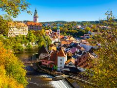 AdobeStock_458445653