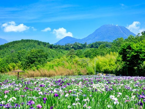 電動バギーで行く別府観光　神楽女湖散策 「ゆのくにクルーザー」に乗って別府DEEP旅　普通免許で運転OK＜別府市＞by クリオシティおおいた