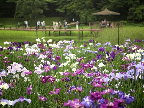 電動バギーで行く別府観光　神楽女湖散策 「ゆのくにクルーザー」に乗って別府DEEP旅　普通免許で運転OK＜別府市＞by クリオシティおおいた