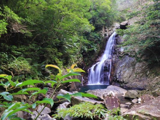やんばるの森ジオツアー 選べる3コースで島の成り立ちや文化の歴史からやんばる地域について探ろう！ ＜2時間／沖縄本島＞